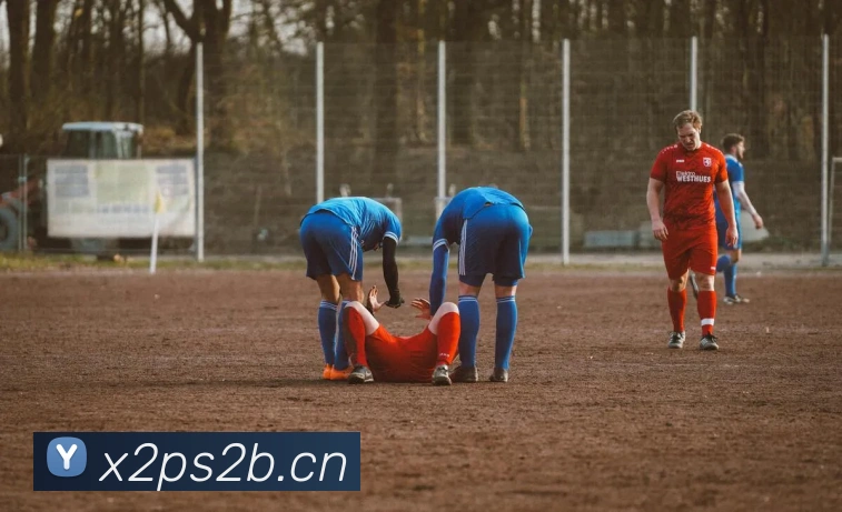 星空体育官方网站入口平台生态图